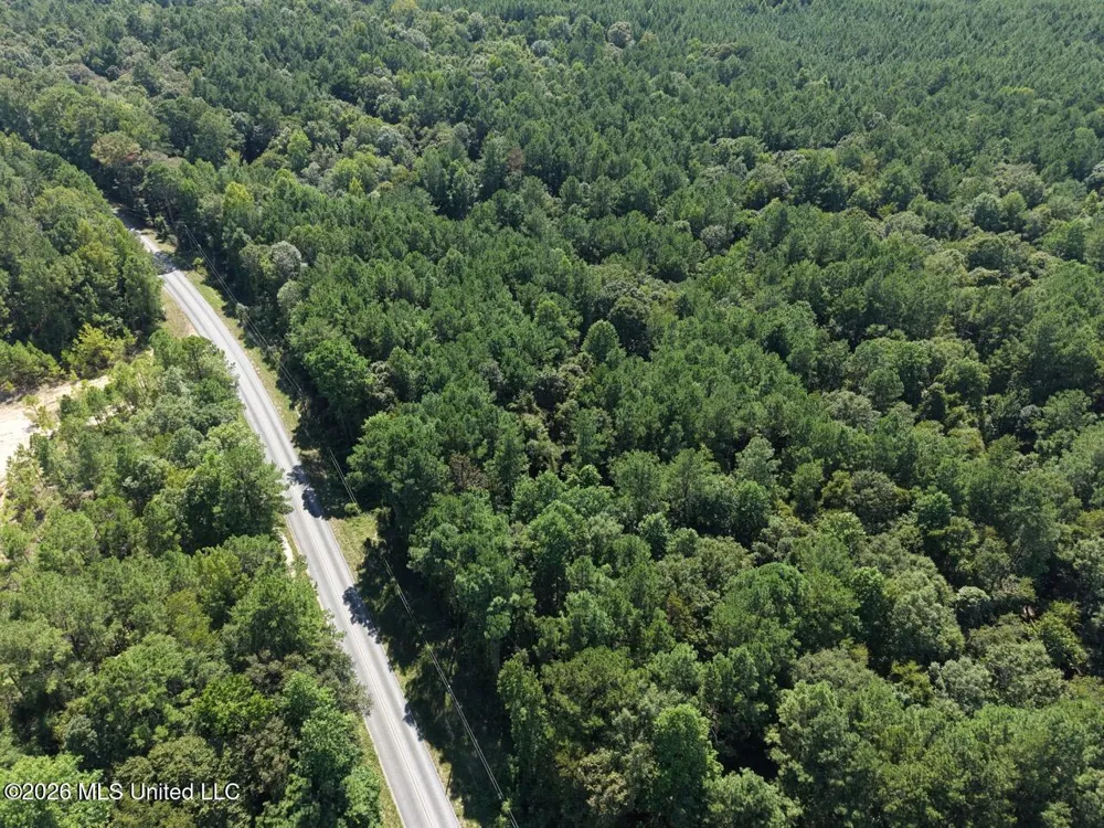 1669 Burt Jordan Road Meadville, MS 39653
