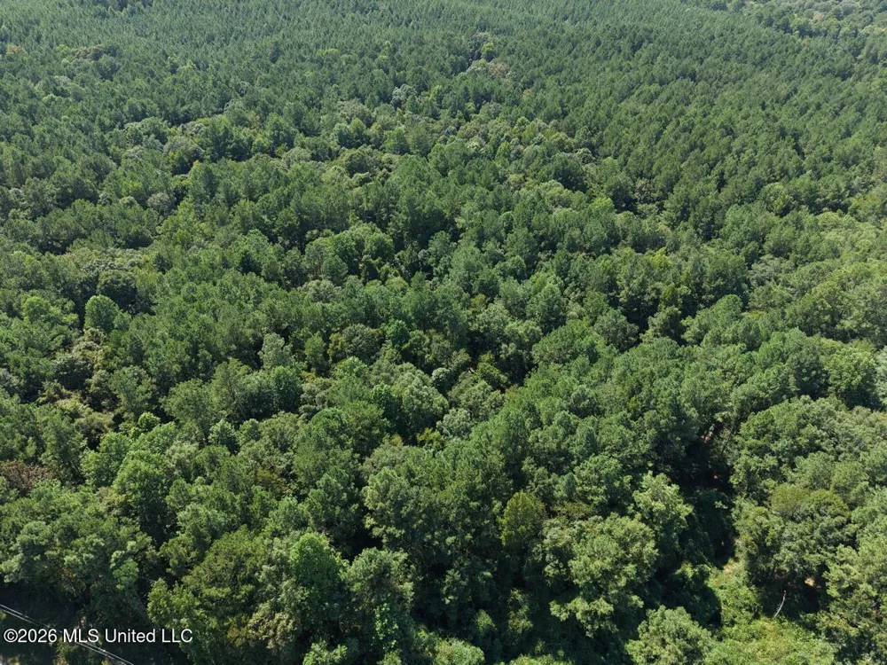 1669 Burt Jordan Road Meadville, MS 39653