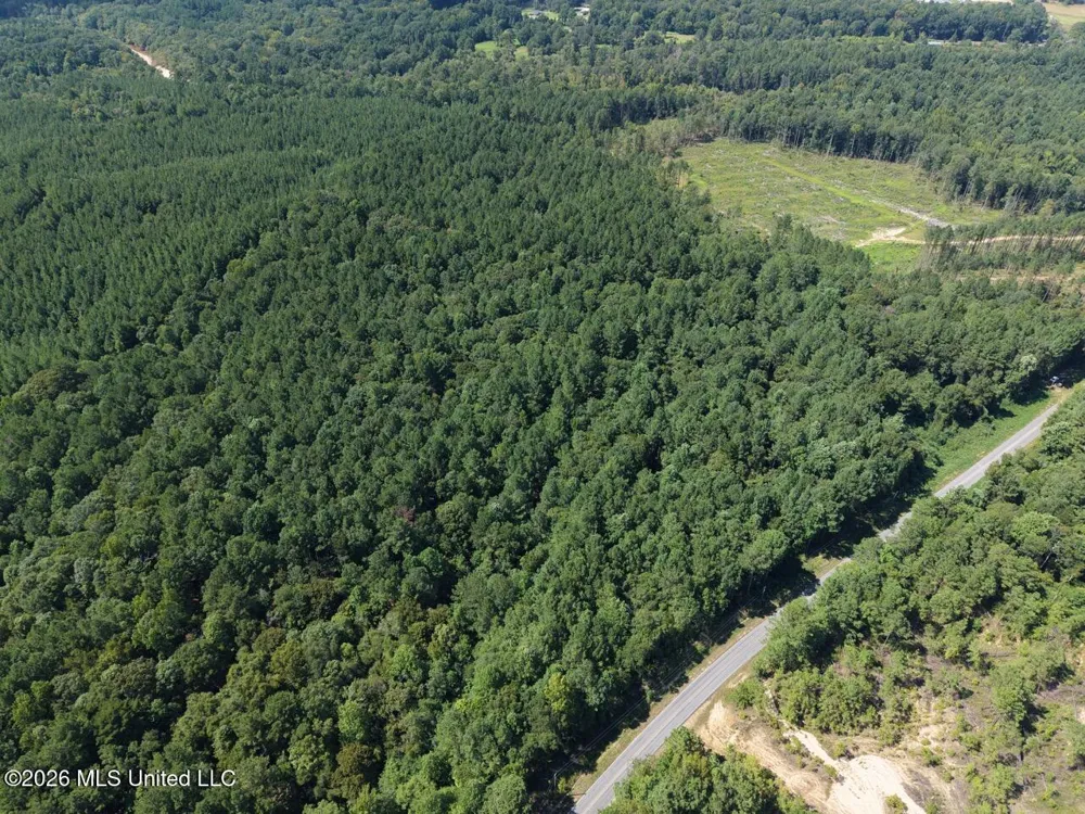 1669 Burt Jordan Road Meadville, MS 39653