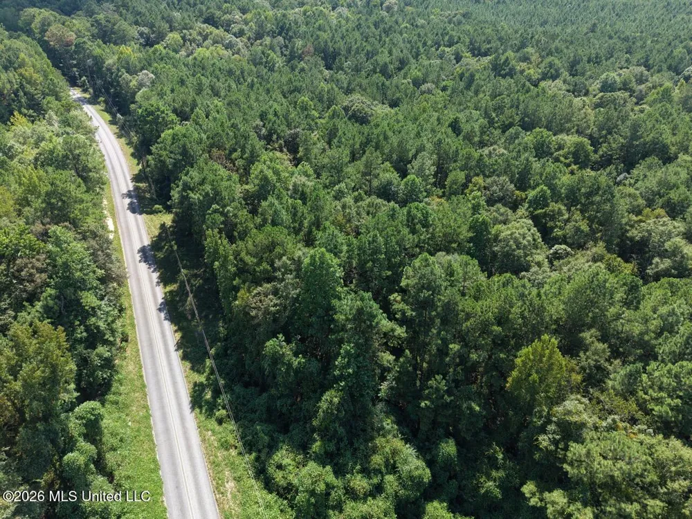 1669 Burt Jordan Road Meadville, MS 39653