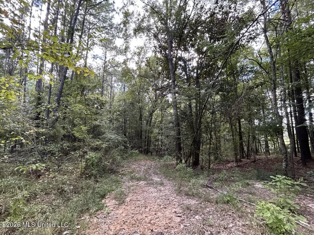1669 Burt Jordan Road Meadville, MS 39653