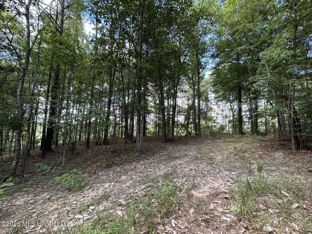 1669 Burt Jordan Road Meadville, MS 39653