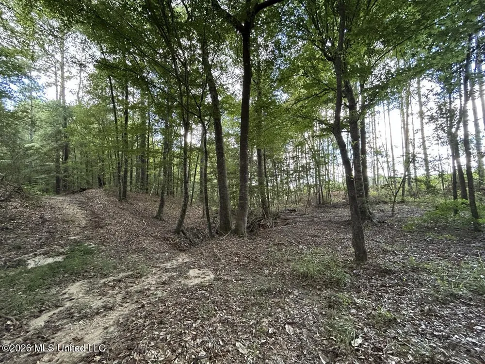1669 Burt Jordan Road Meadville, MS 39653