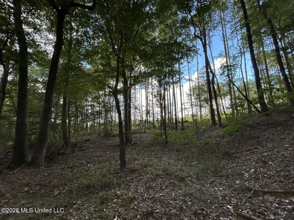 1669 Burt Jordan Road Meadville, MS 39653