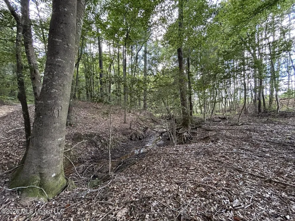 1669 Burt Jordan Road Meadville, MS 39653