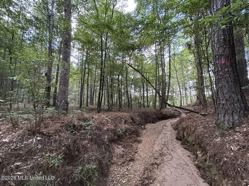 1669 Burt Jordan Road Meadville, MS 39653