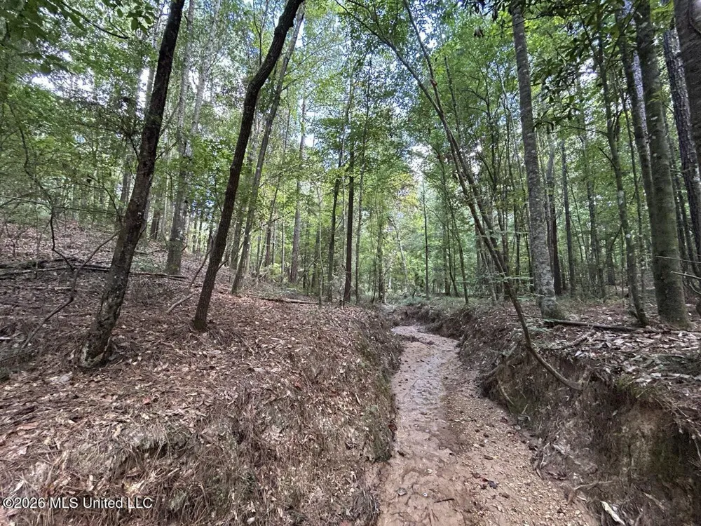 1669 Burt Jordan Road Meadville, MS 39653