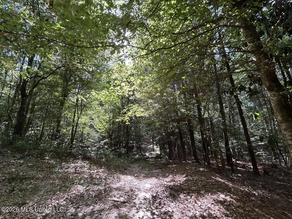 1669 Burt Jordan Road Meadville, MS 39653