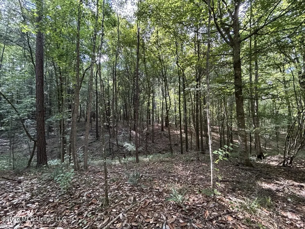 1669 Burt Jordan Road Meadville, MS 39653