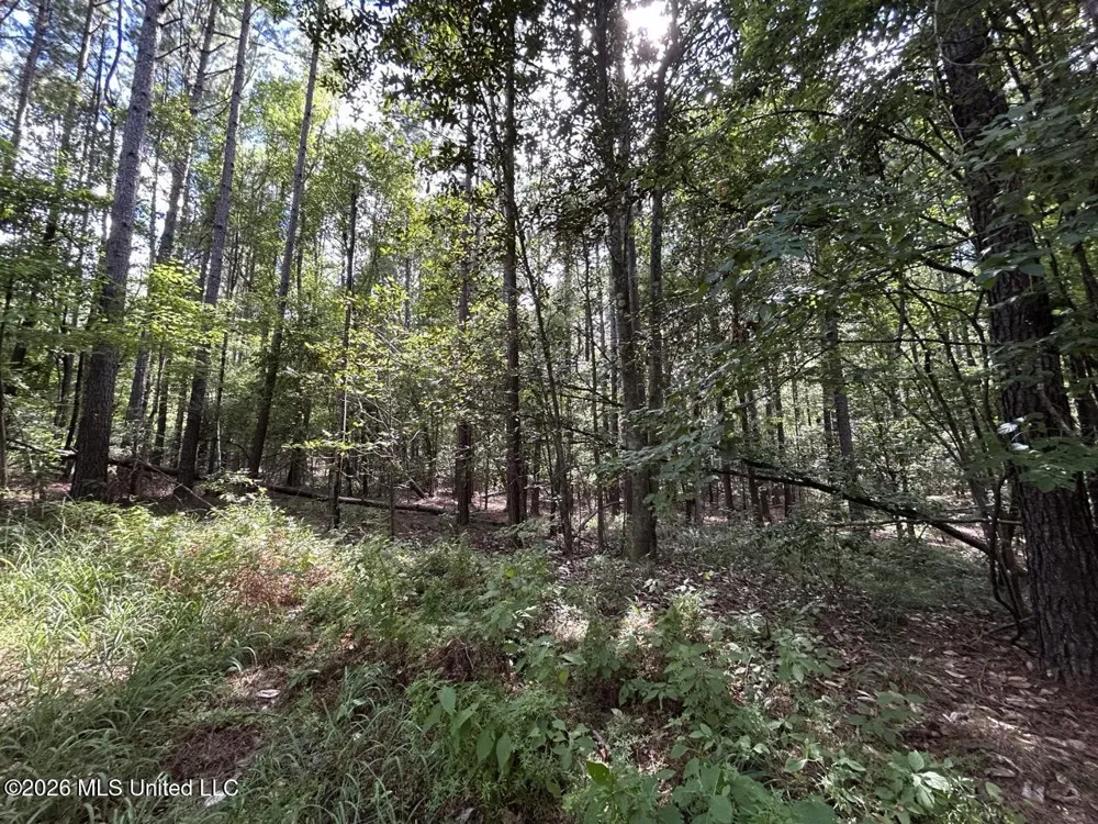 1669 Burt Jordan Road Meadville, MS 39653