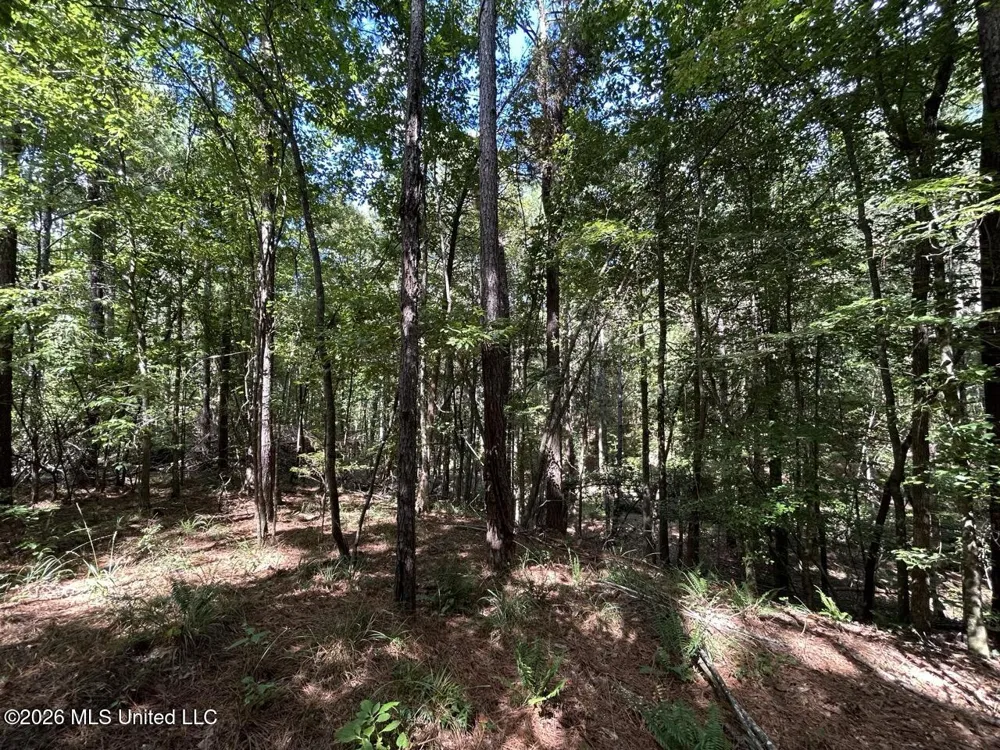 1669 Burt Jordan Road Meadville, MS 39653
