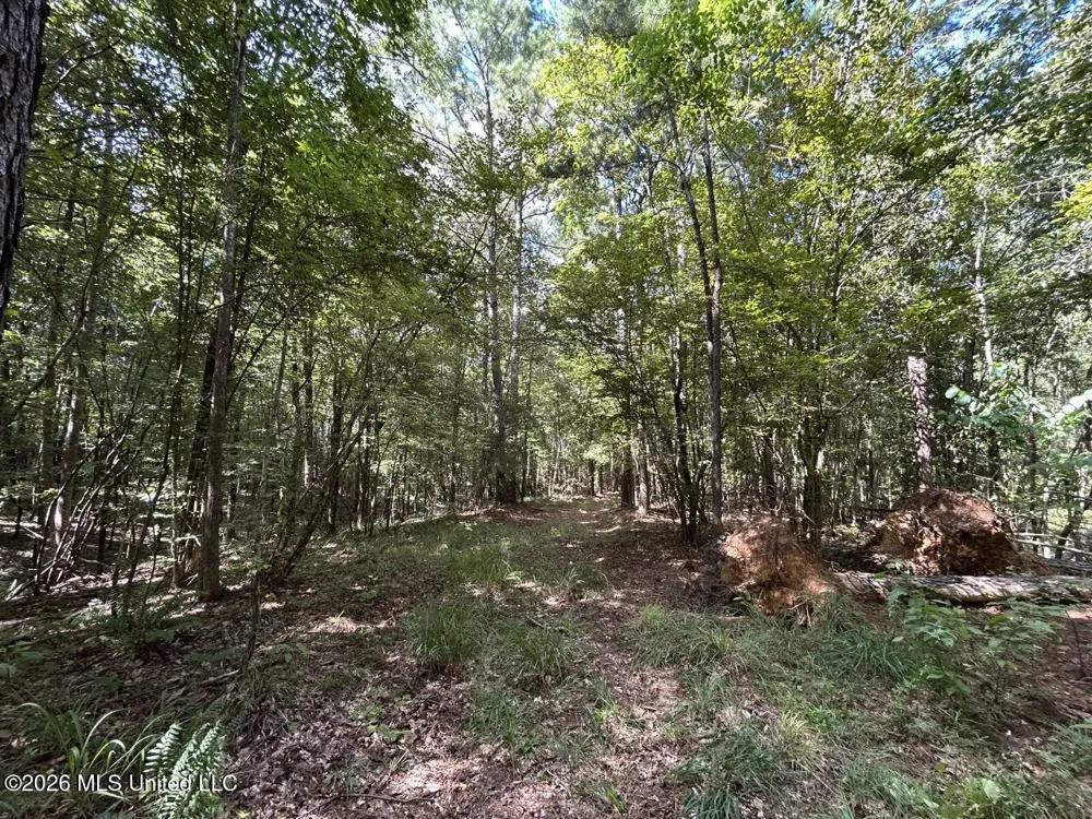 1669 Burt Jordan Road Meadville, MS 39653