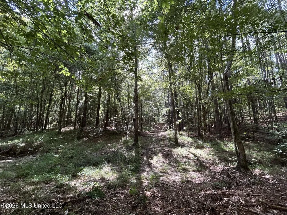 1669 Burt Jordan Road Meadville, MS 39653