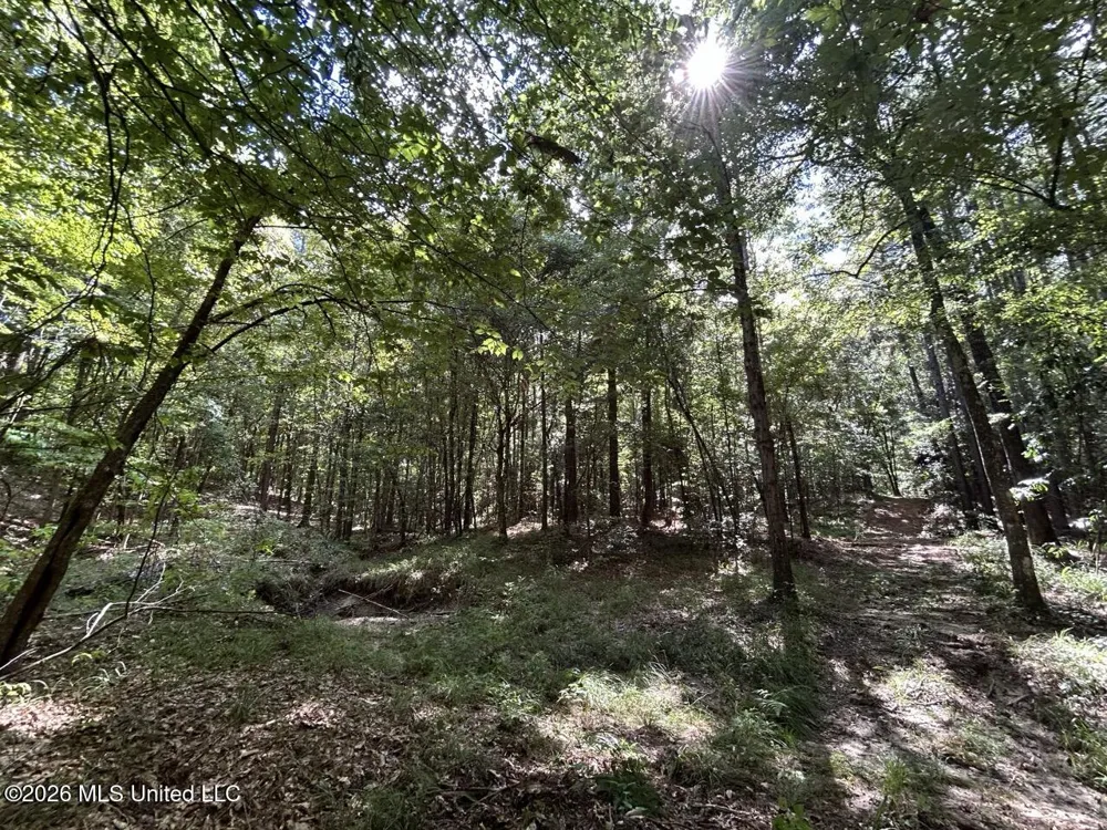 1669 Burt Jordan Road Meadville, MS 39653