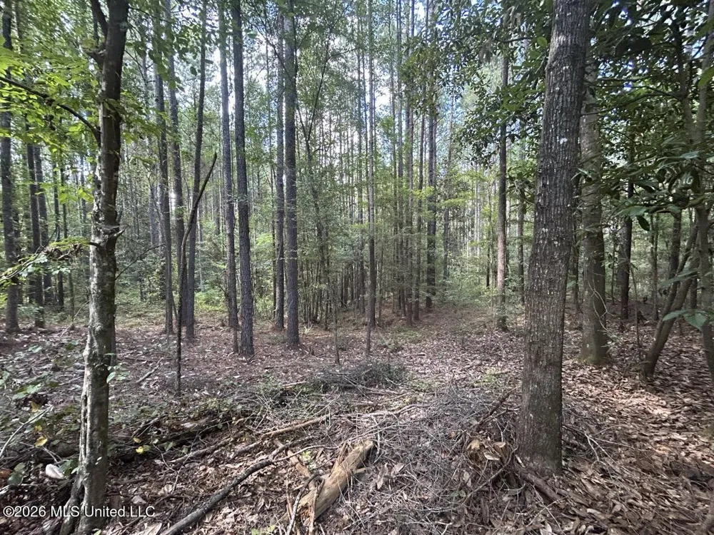 1669 Burt Jordan Road Meadville, MS 39653