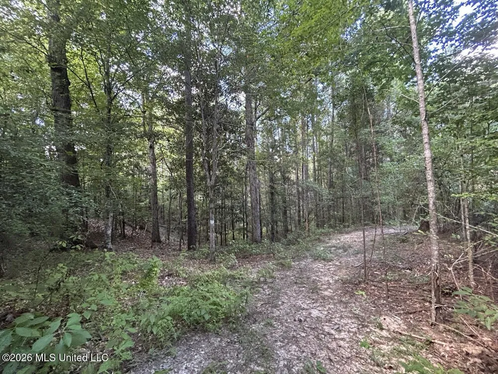 1669 Burt Jordan Road Meadville, MS 39653