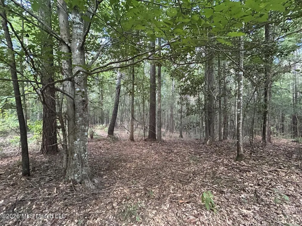 1669 Burt Jordan Road Meadville, MS 39653