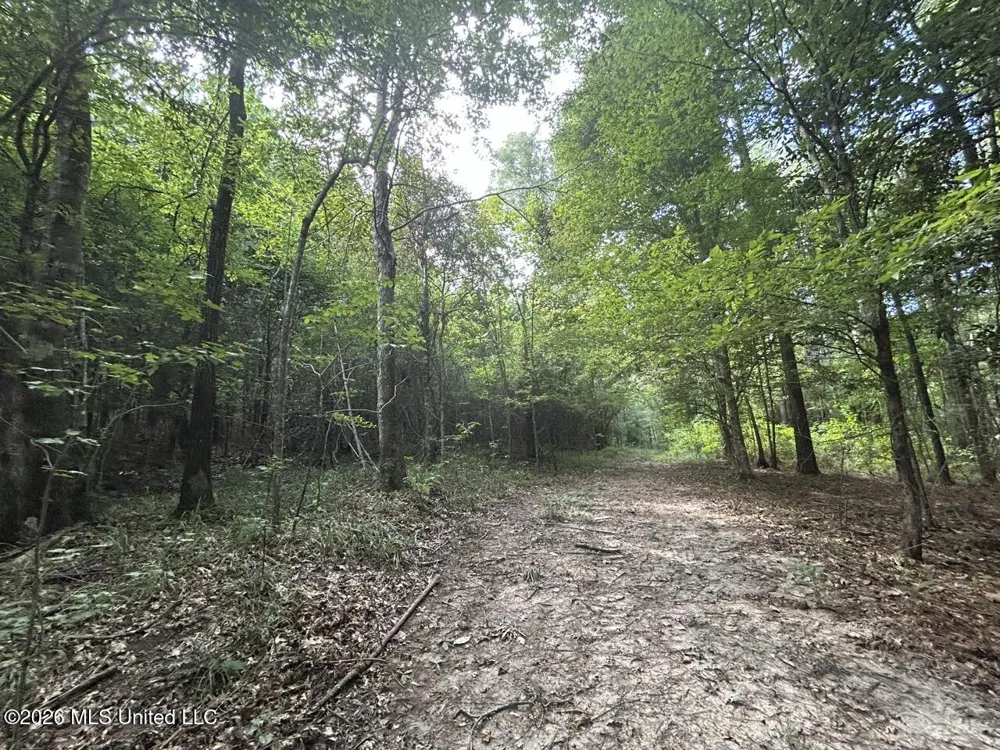 1669 Burt Jordan Road Meadville, MS 39653