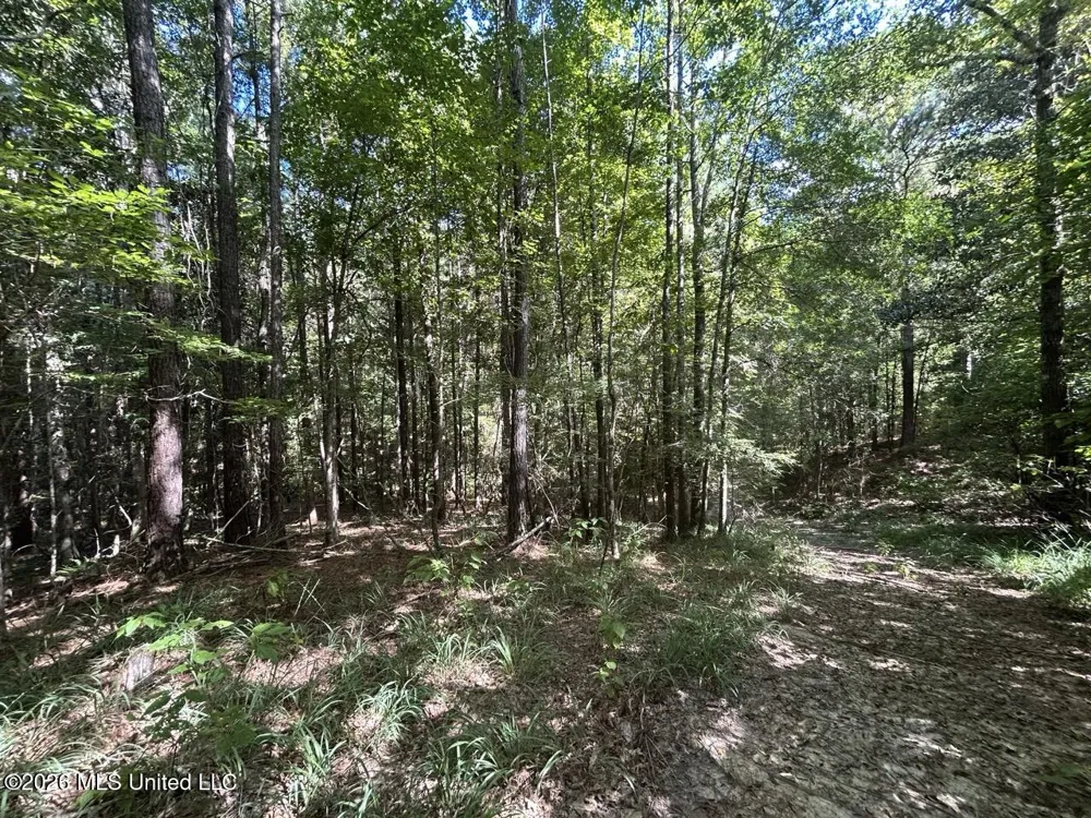 1669 Burt Jordan Road Meadville, MS 39653