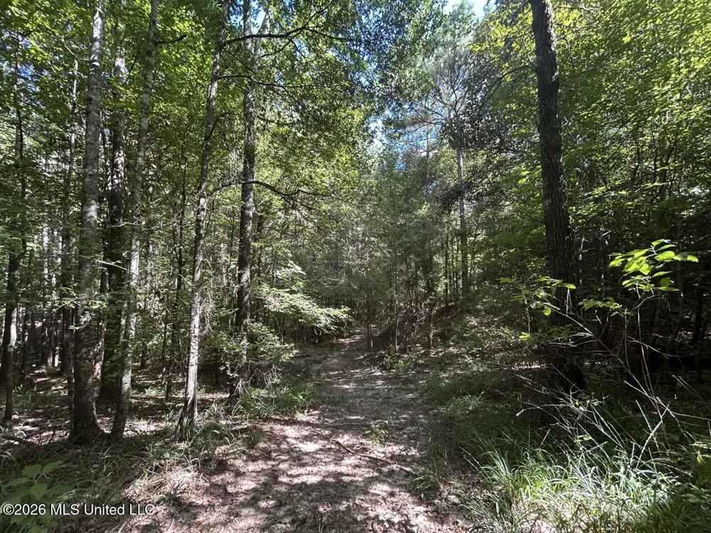 1669 Burt Jordan Road Meadville, MS 39653