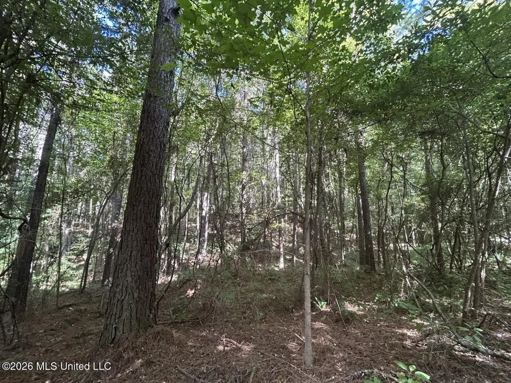 1669 Burt Jordan Road Meadville, MS 39653