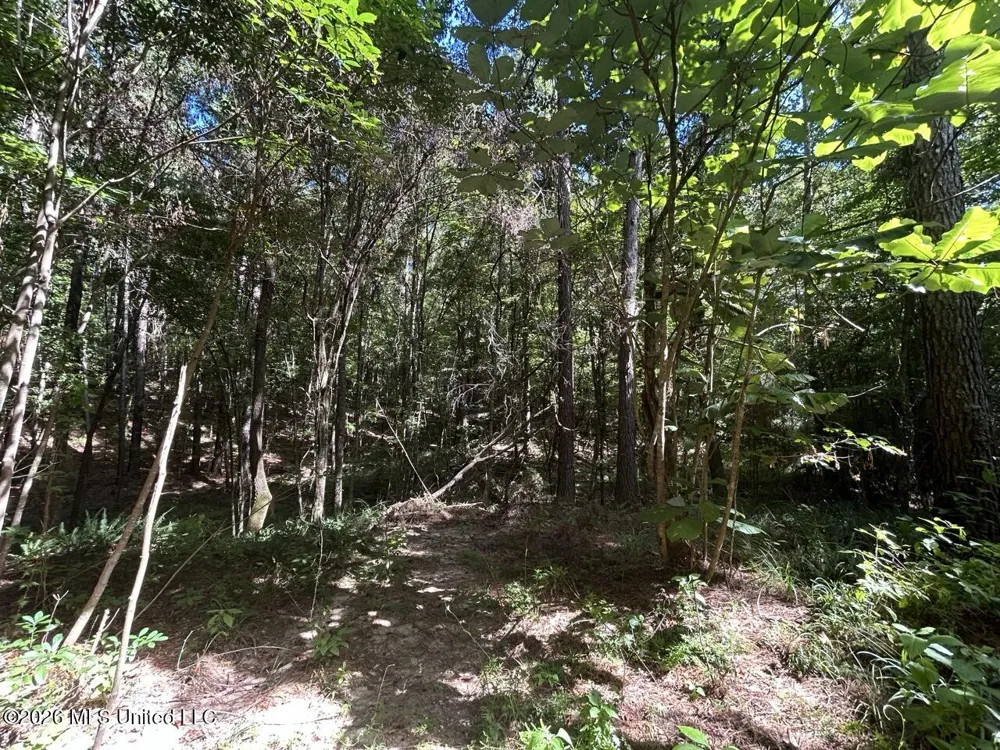1669 Burt Jordan Road Meadville, MS 39653