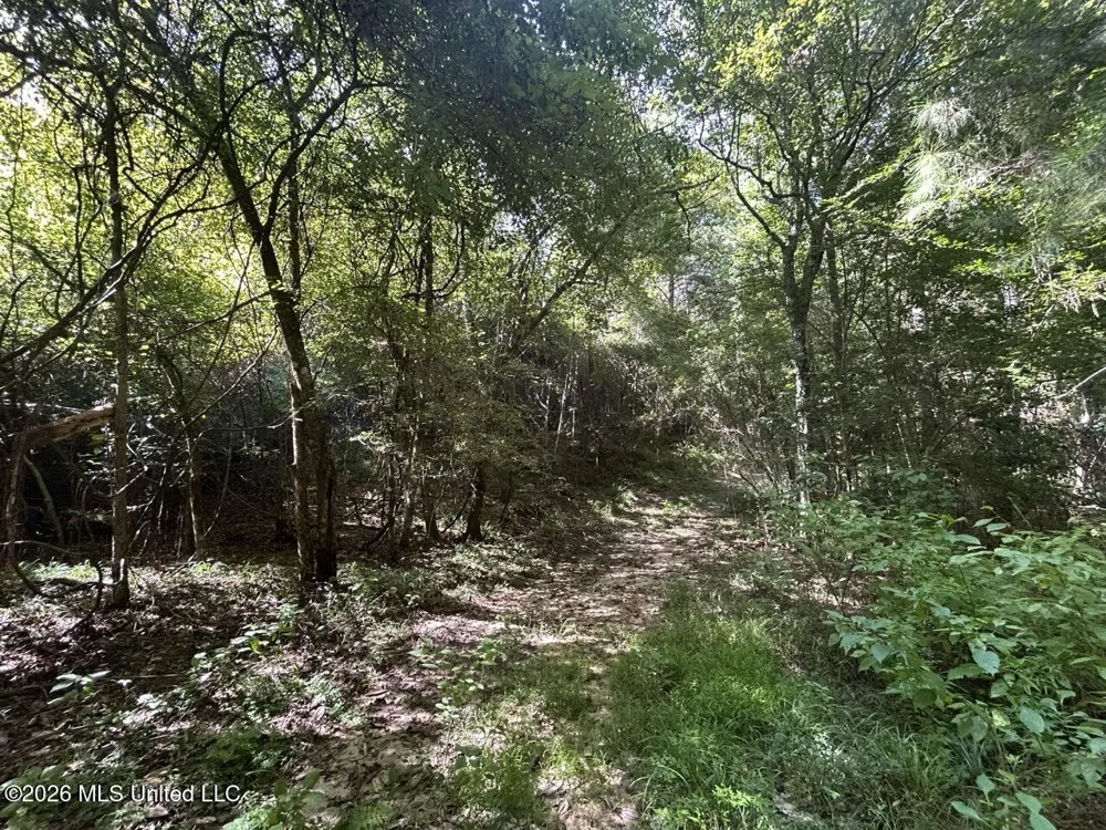1669 Burt Jordan Road Meadville, MS 39653