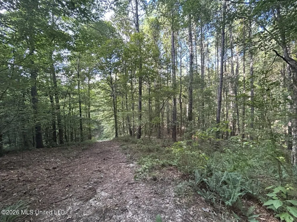 1669 Burt Jordan Road Meadville, MS 39653