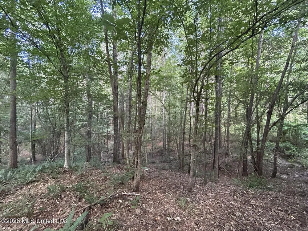 1669 Burt Jordan Road Meadville, MS 39653