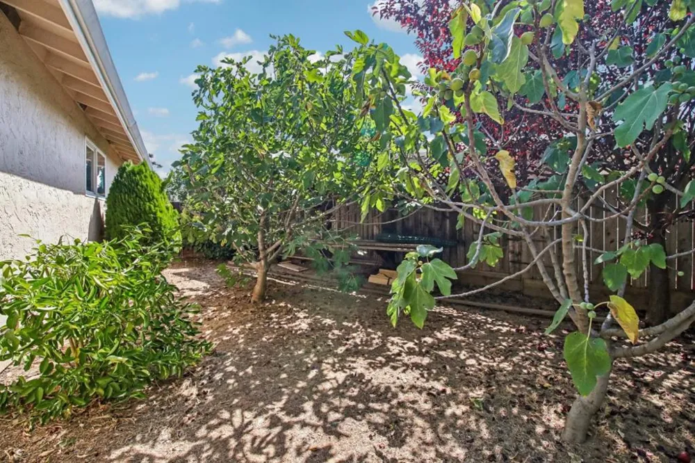 8135 Las Animas Court Gilroy, CA 95020
