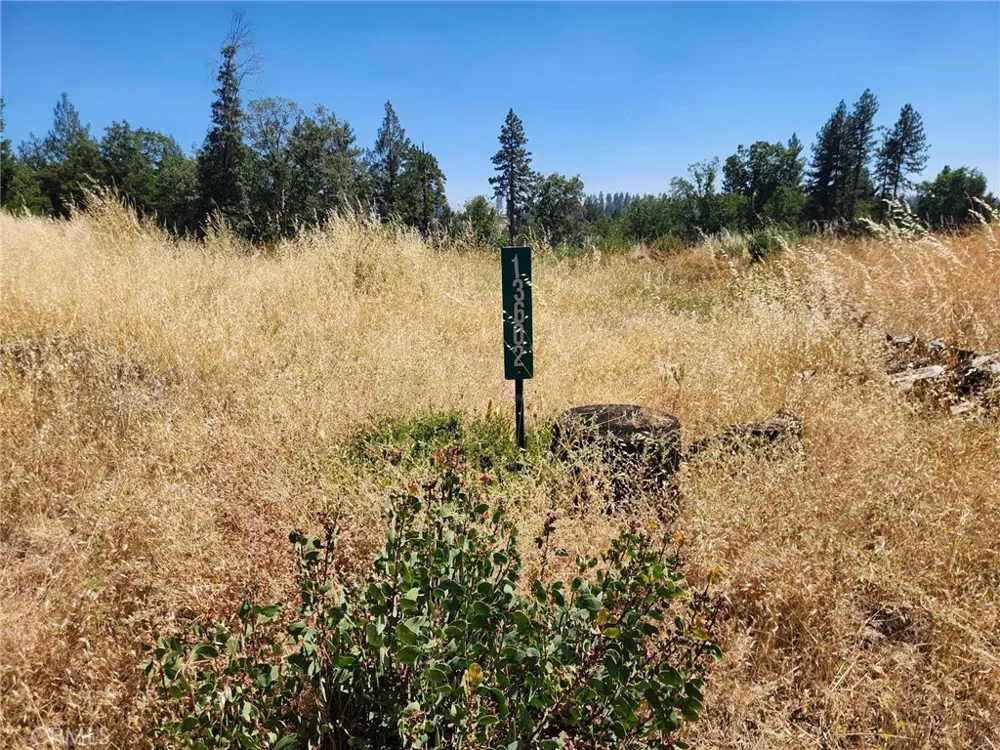 13602 Andover Magalia, CA 95954