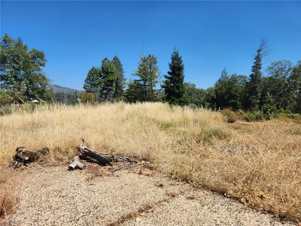 13602 Andover Magalia, CA 95954
