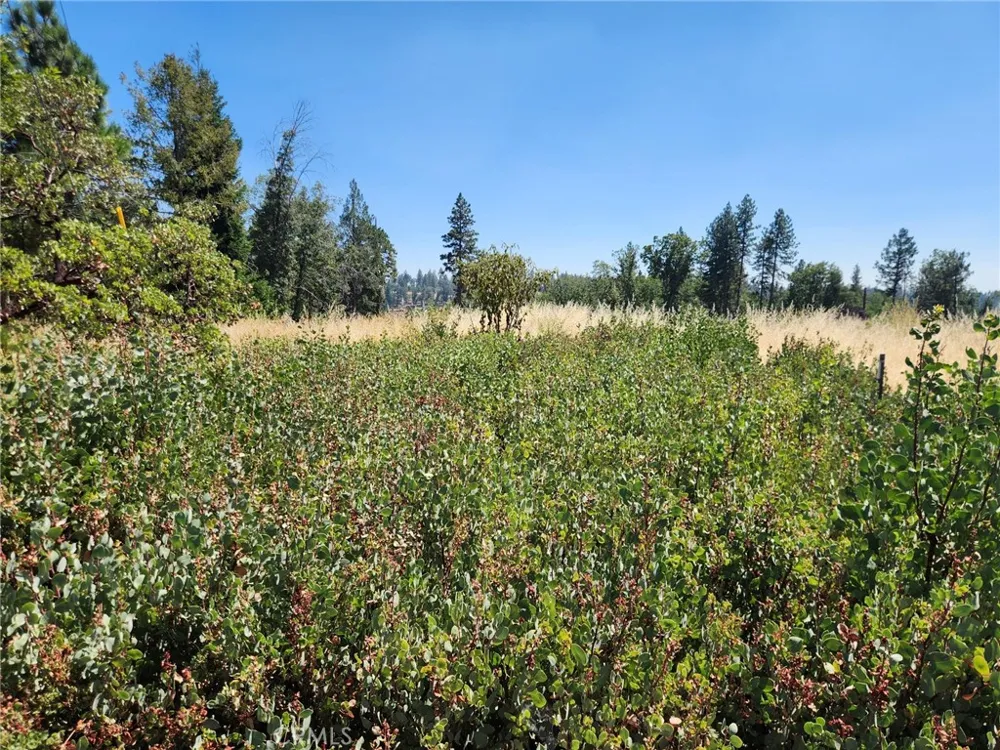 13602 Andover Magalia, CA 95954