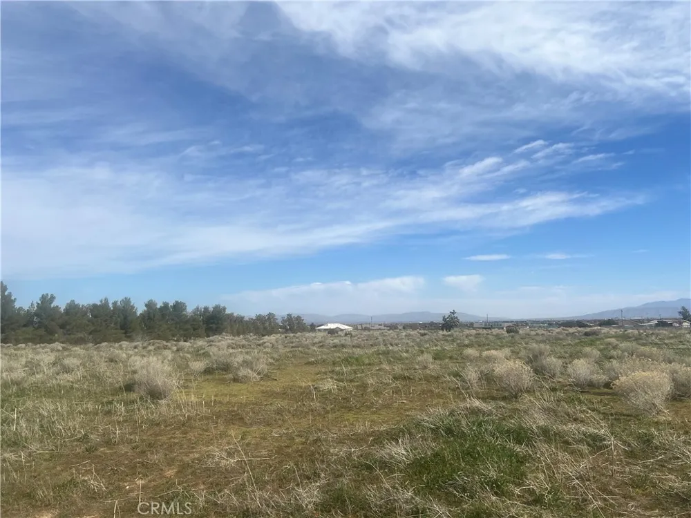 Vinton Phelan, CA 92371
