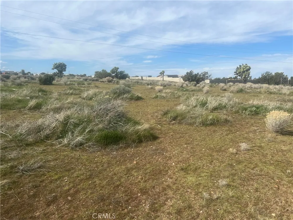 Vinton Phelan, CA 92371