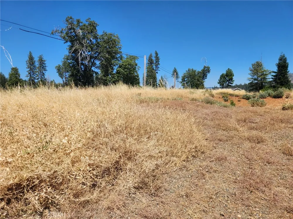 13600 Andover Magalia, CA 95954