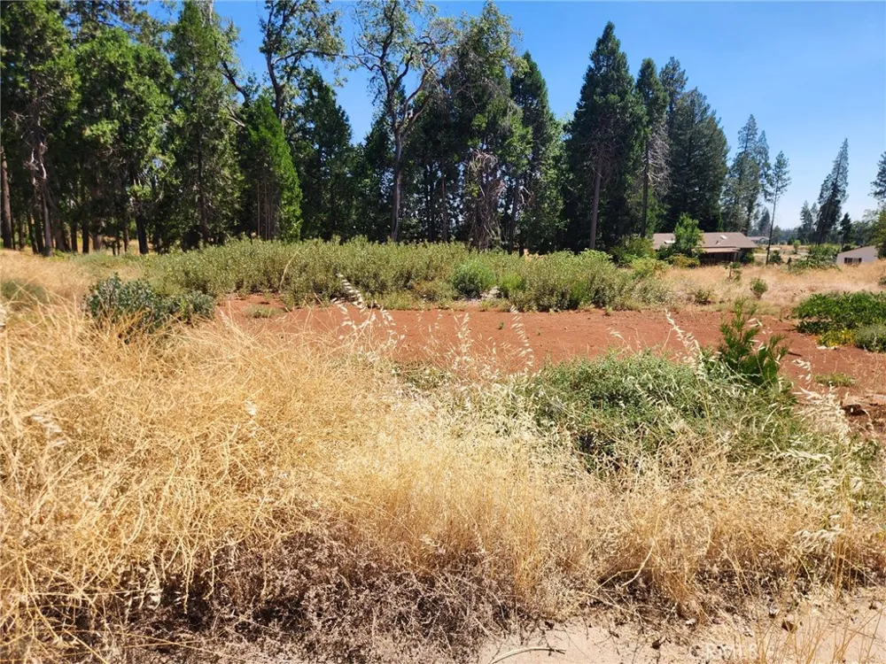 13744 W Park Magalia, CA 95954