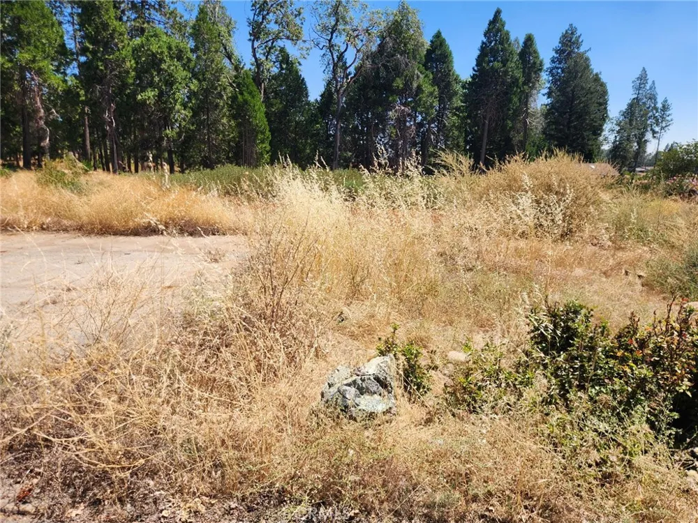 13744 W Park Magalia, CA 95954