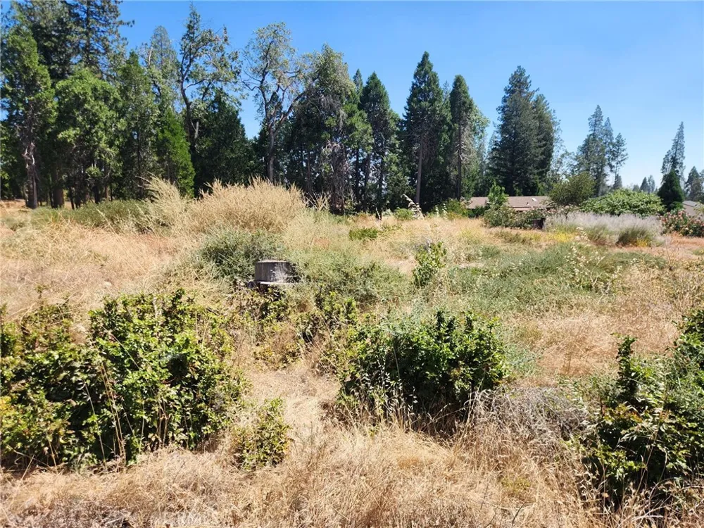 13744 W Park Magalia, CA 95954