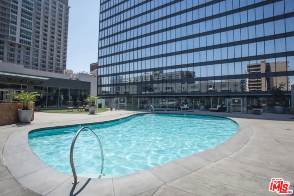 901 S FLOWER STREET #306 Los Angeles, CA 90015