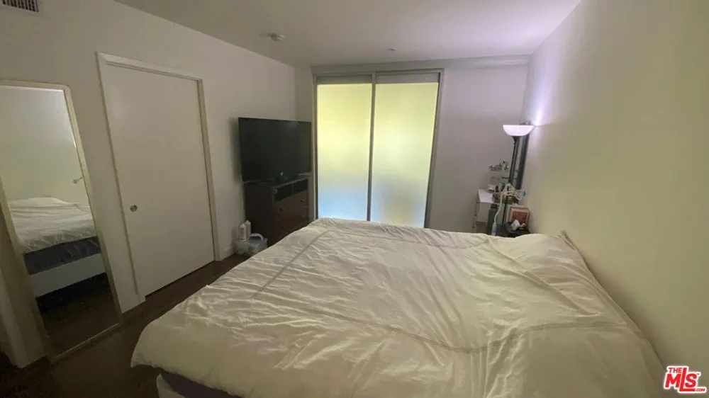 901 S FLOWER STREET #306 Los Angeles, CA 90015