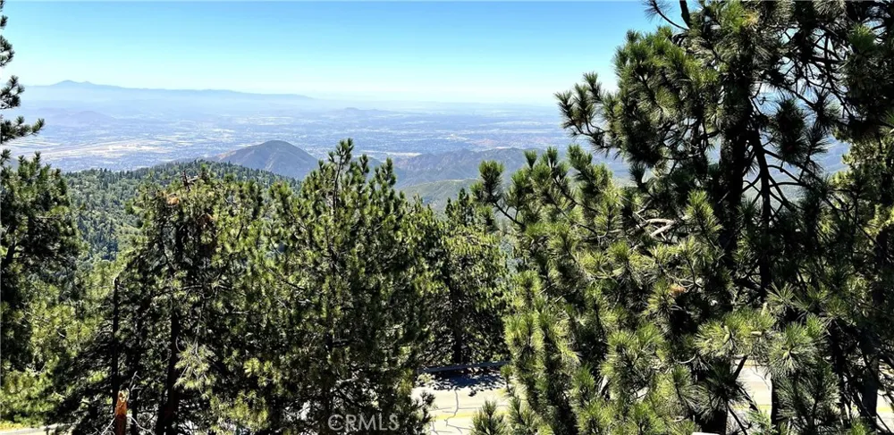 1834 Nob Hill Running Springs, CA 92382