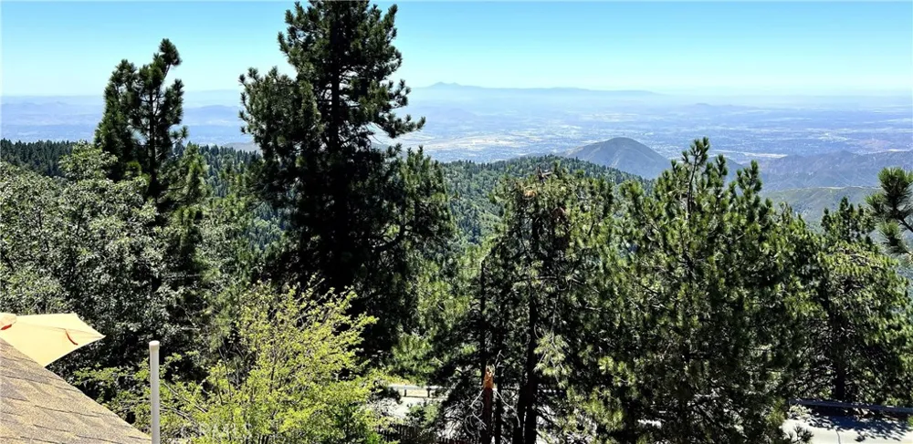 1834 Nob Hill Running Springs, CA 92382
