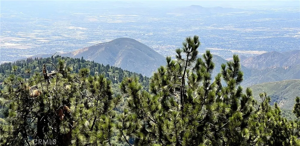 1834 Nob Hill Running Springs, CA 92382