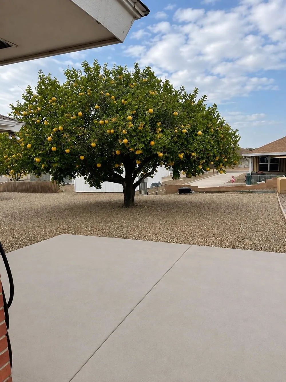 1901 Jefferson Street Mission, TX 78572