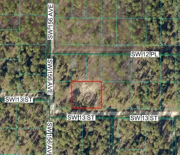 15571 SW 13TH STREET ocala, FL 34481