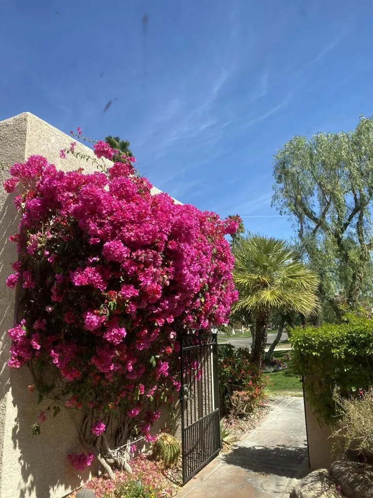 10305 Sunningdale Drive Rancho Mirage, CA 92270