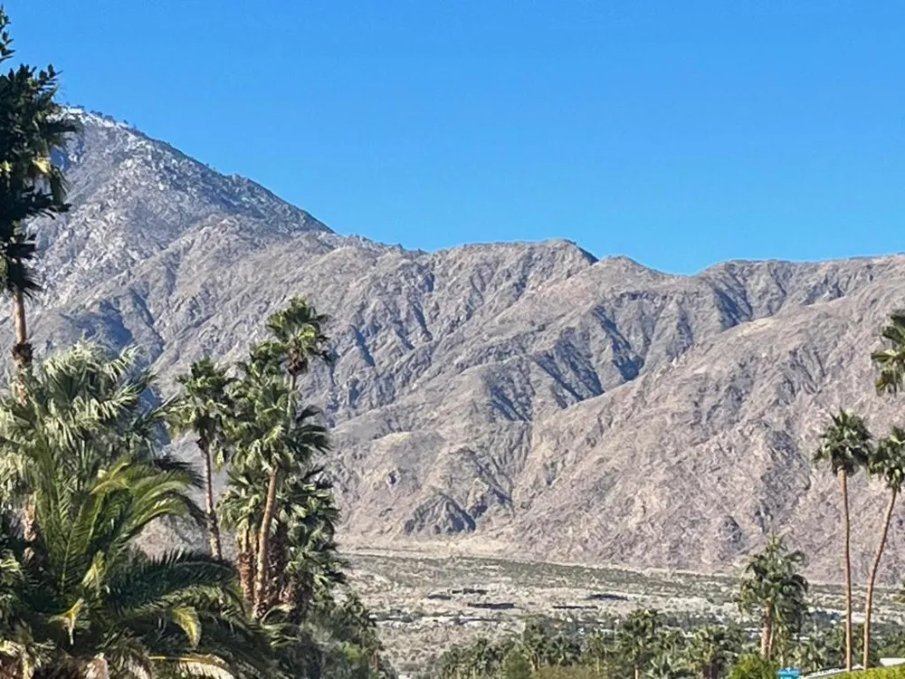 1233 E Via Escuela Palm Springs, CA 92262
