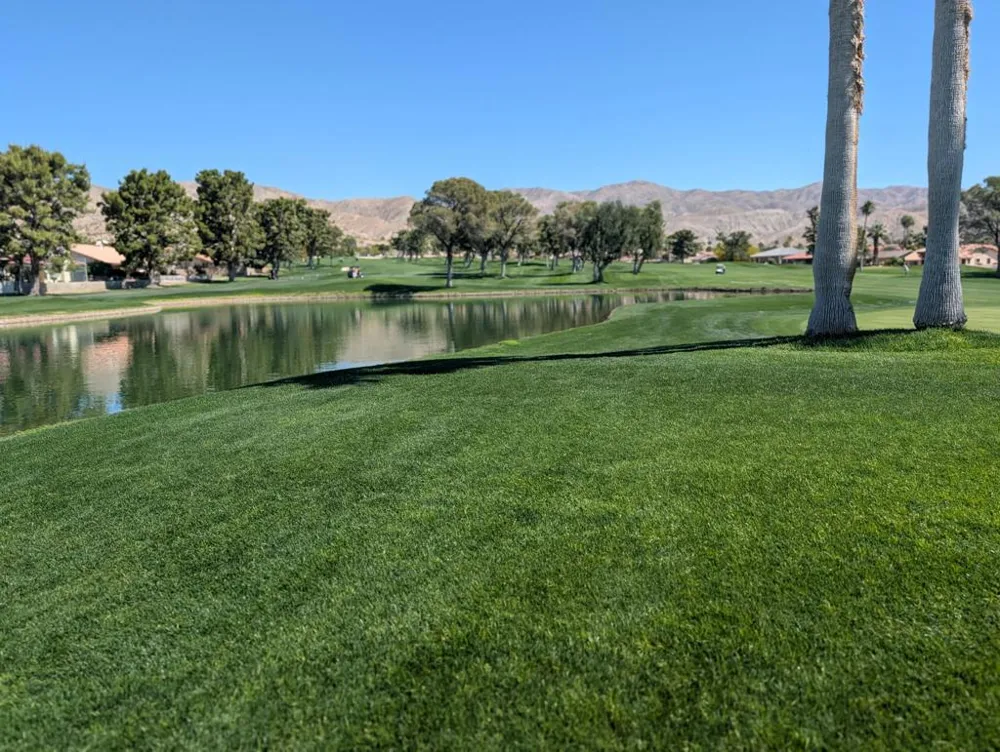 9643 Spyglass Avenue #41 Desert Hot Springs, CA 92240