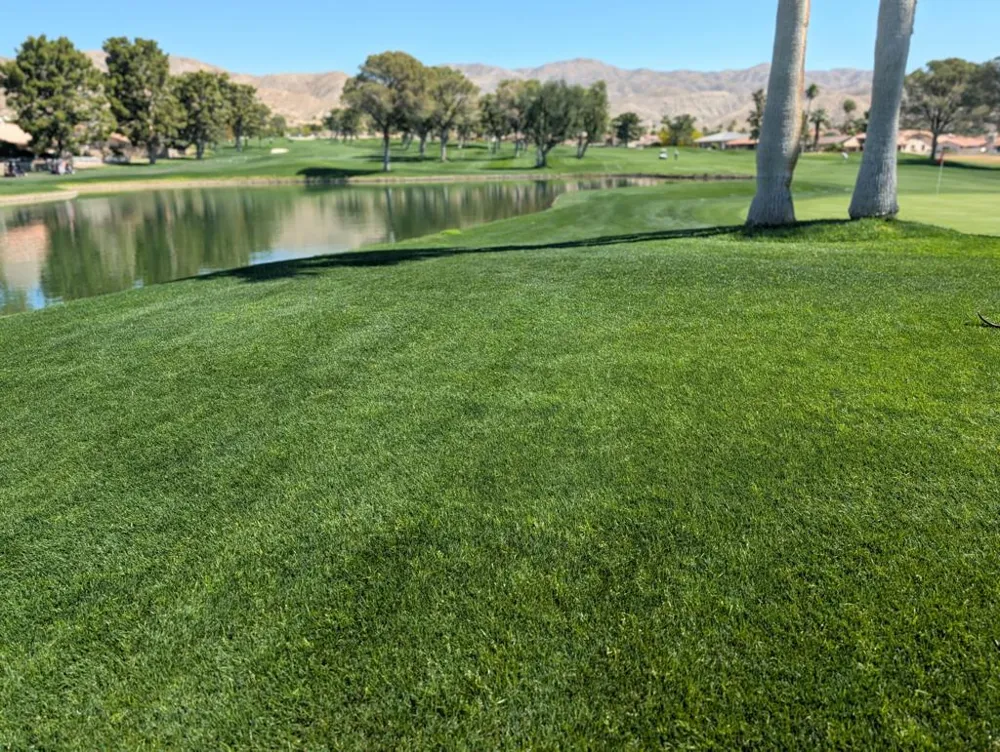 9643 Spyglass Avenue #41 Desert Hot Springs, CA 92240